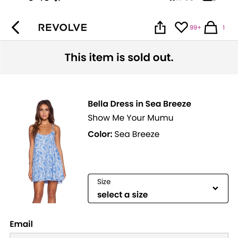Blue and White Floral Dress